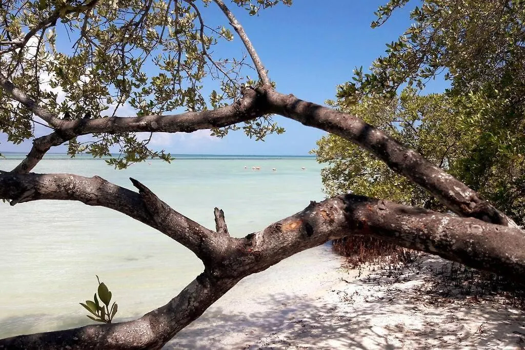 Holiday home Casa Costa Azul Holbox Villa
